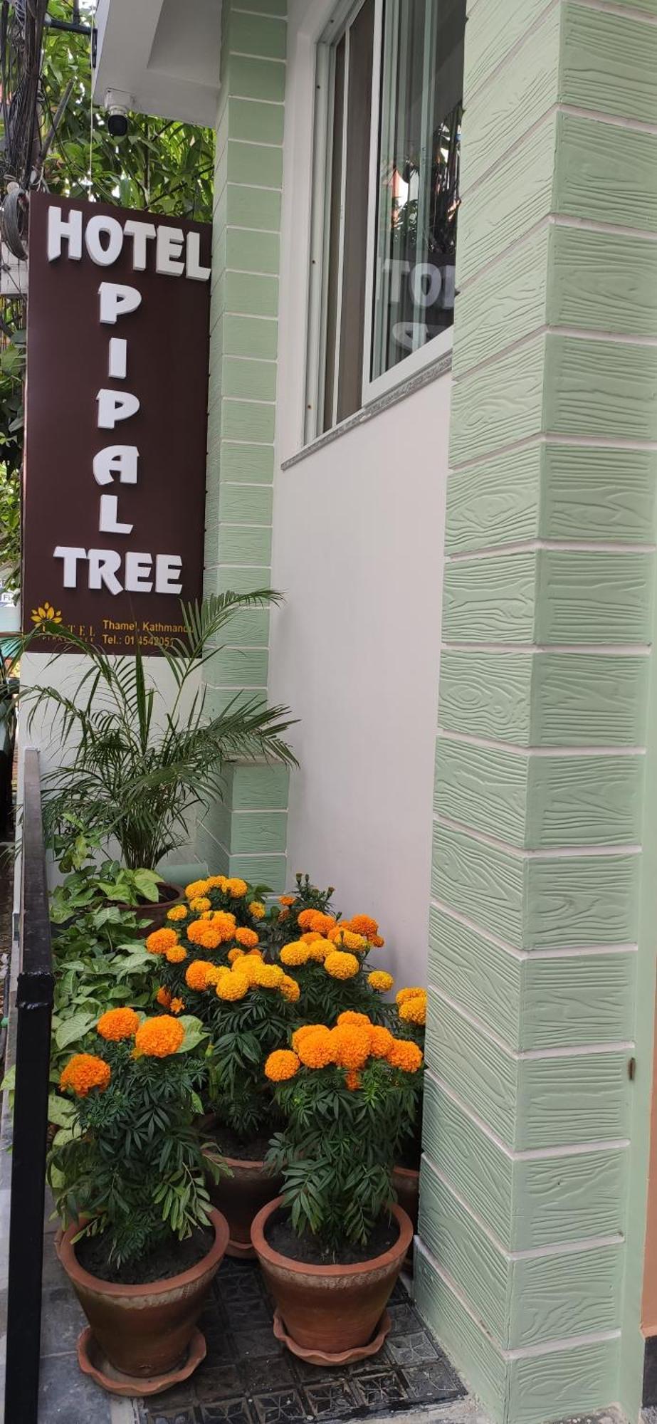Hotel Pipal Tree Kathmandu Luaran gambar